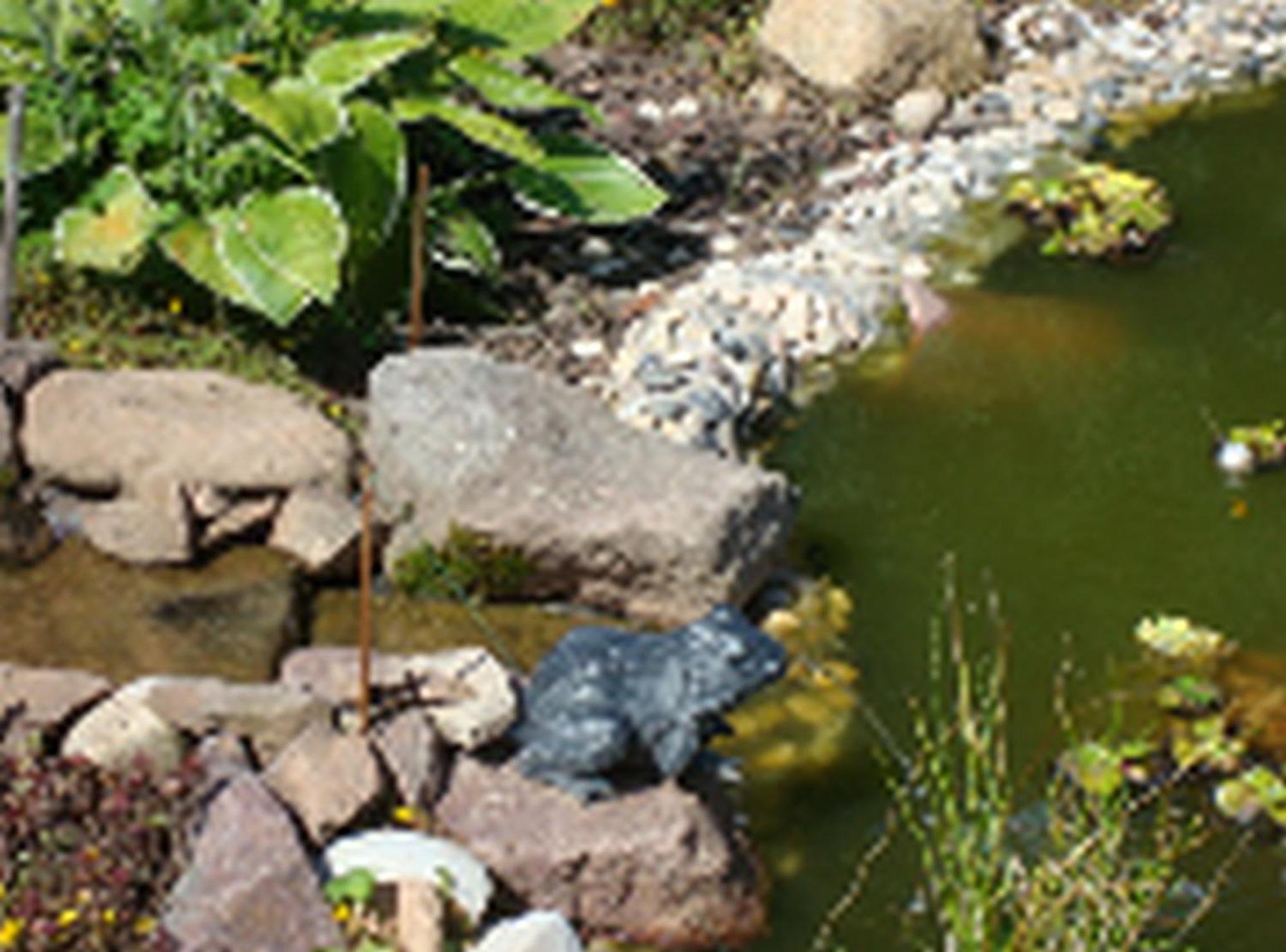 Le Clos Pré La Voivre  Esterno foto